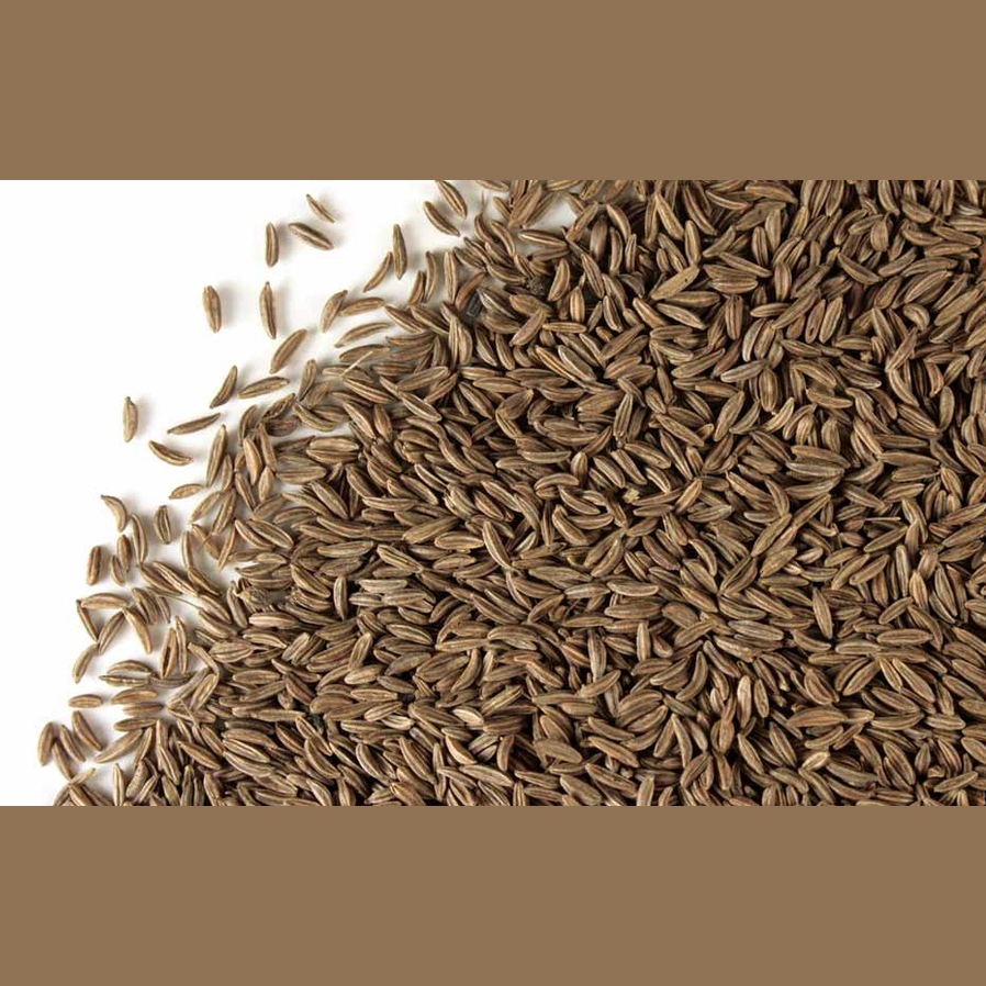 Alcaravea Semilla - Caraway Seed - Cúrcuma®