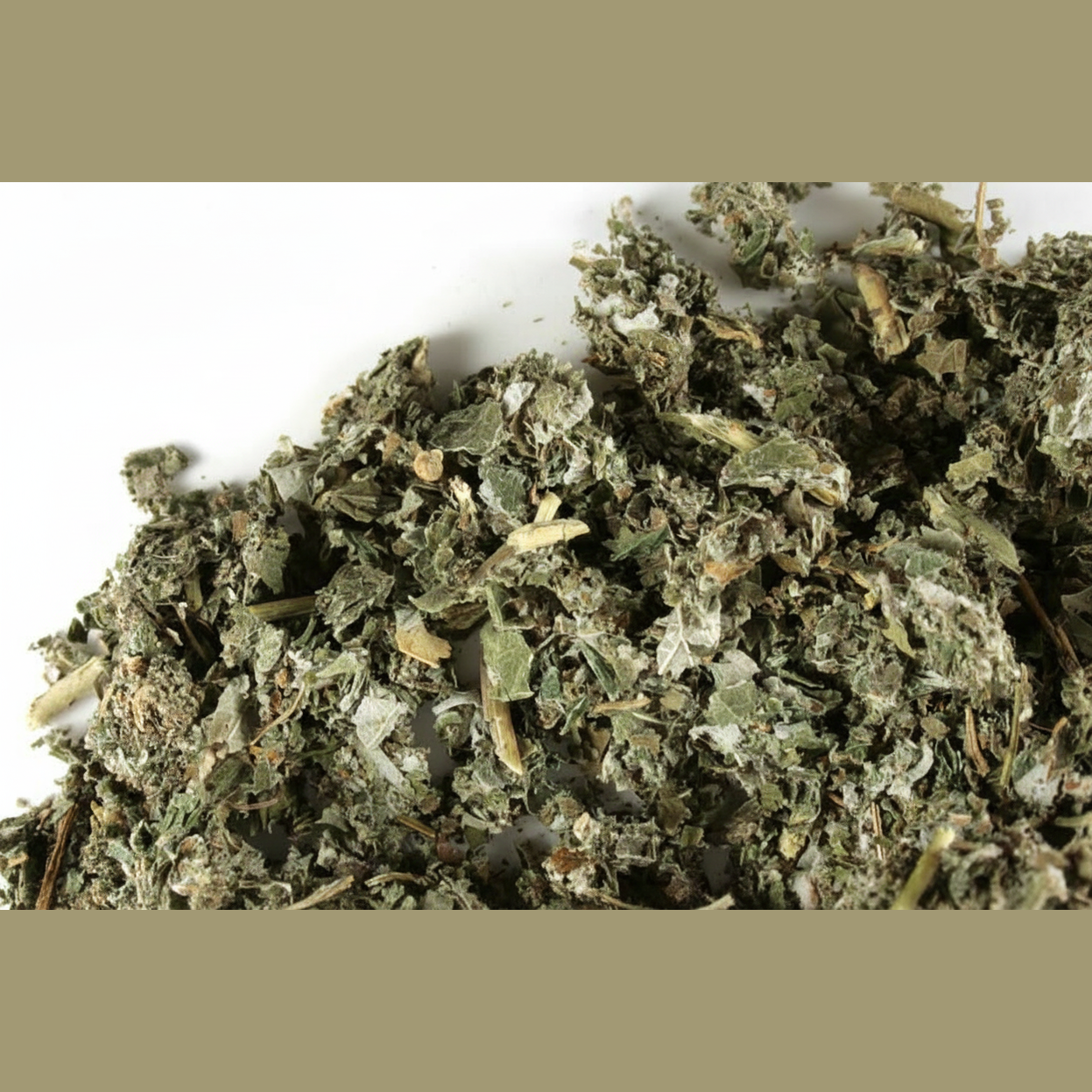 Frambuesa Hoja - Raspberry Leaf - Cúrcuma®