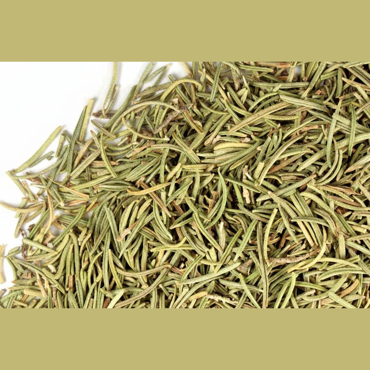 Romero - Rosemary - Cúrcuma®