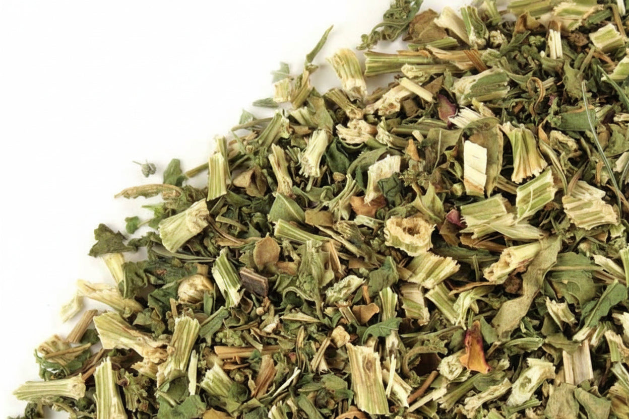 Epazote - Epazote Herb - Cúrcuma®