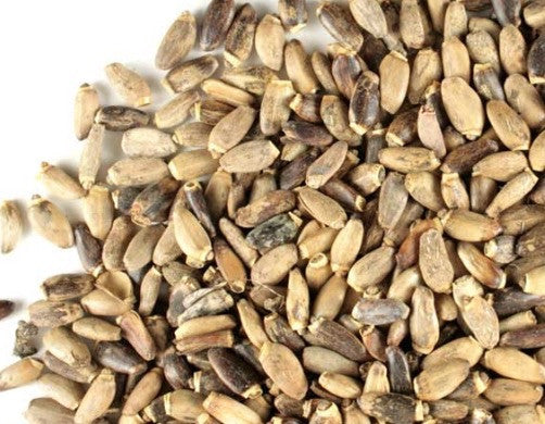 Cardo Mariano - Milk Thistle