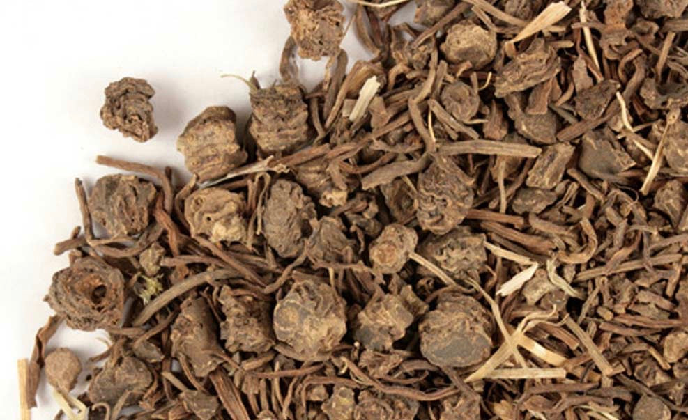 Valeriana Raíz - Valerian Root - Cúrcuma®