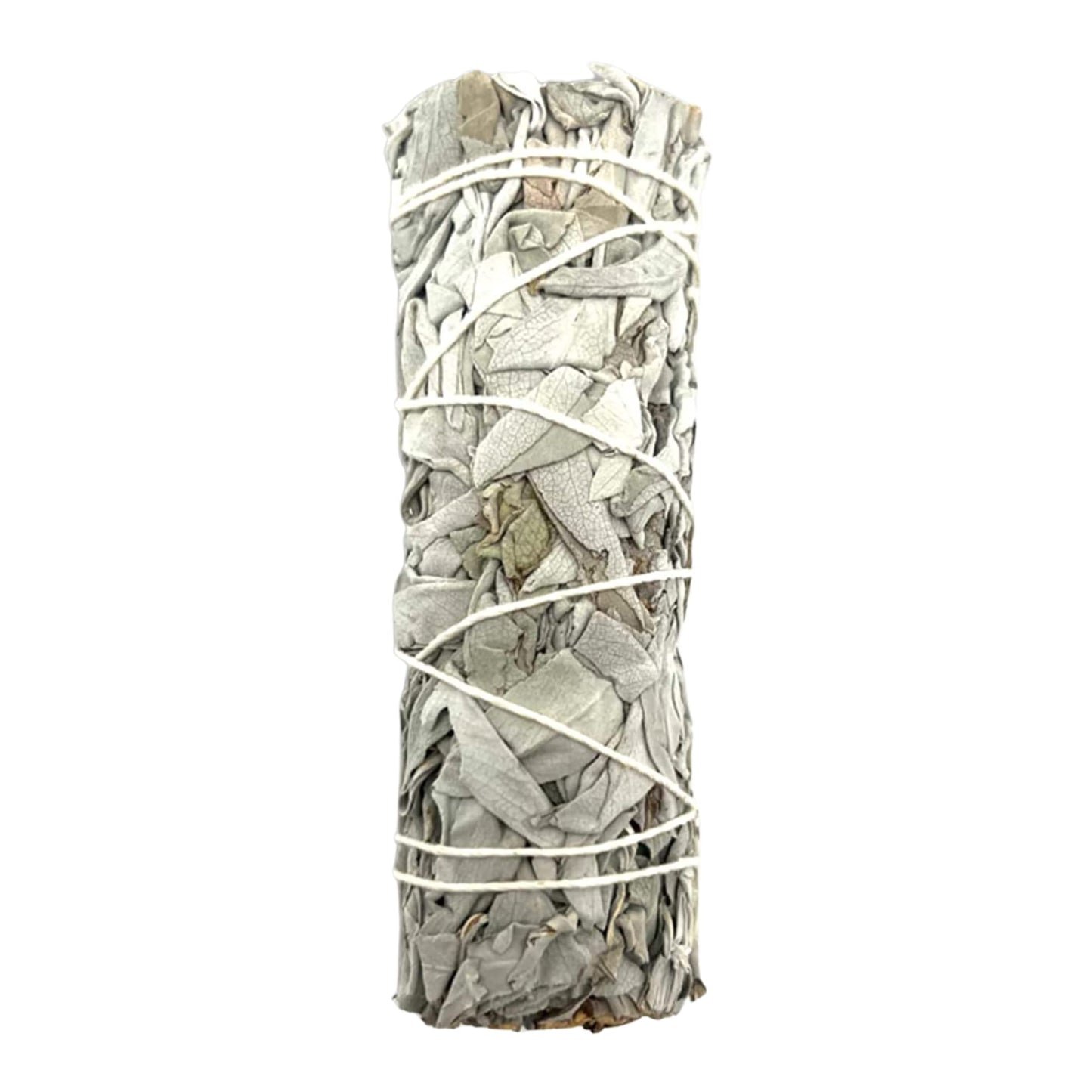 Salvia Blanca 4" - White Sage