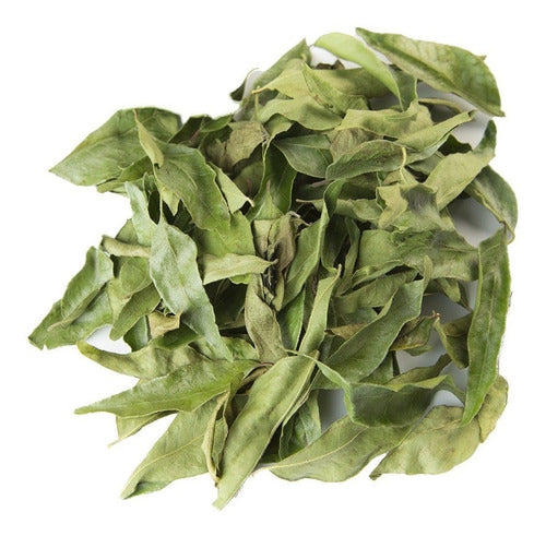Hojas de curry - curry leaf 7g