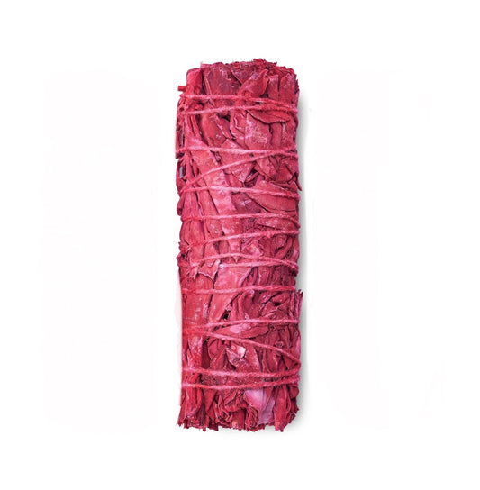 Salvia Sangre de Dragon 4" - Dragon's Blood Sage