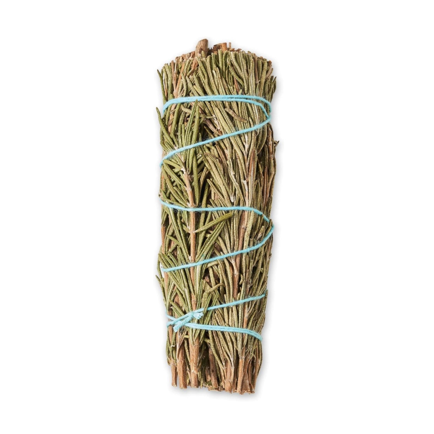 Salvia Romero 4" - Rosemary Sage Rollo