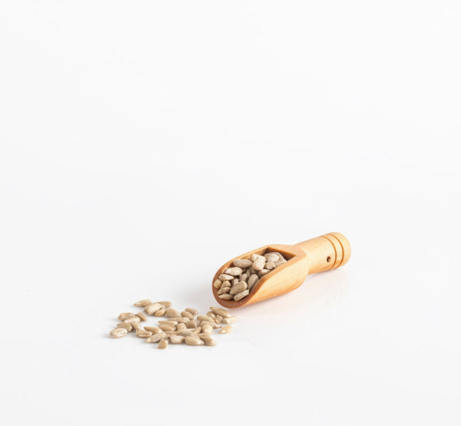 Semilla Girasol - Sunflower Seed - Cúrcuma®