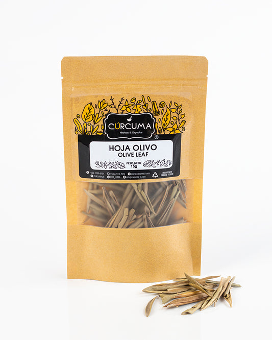 Hoja Olivo - Olive Leaf