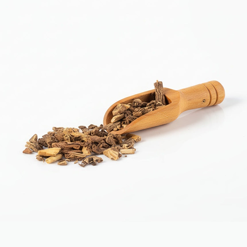 Zarzaparrilla - Sarsaparrilla Root - Cúrcuma®