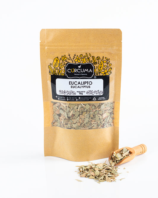 Eucalipto - Eucalyptus