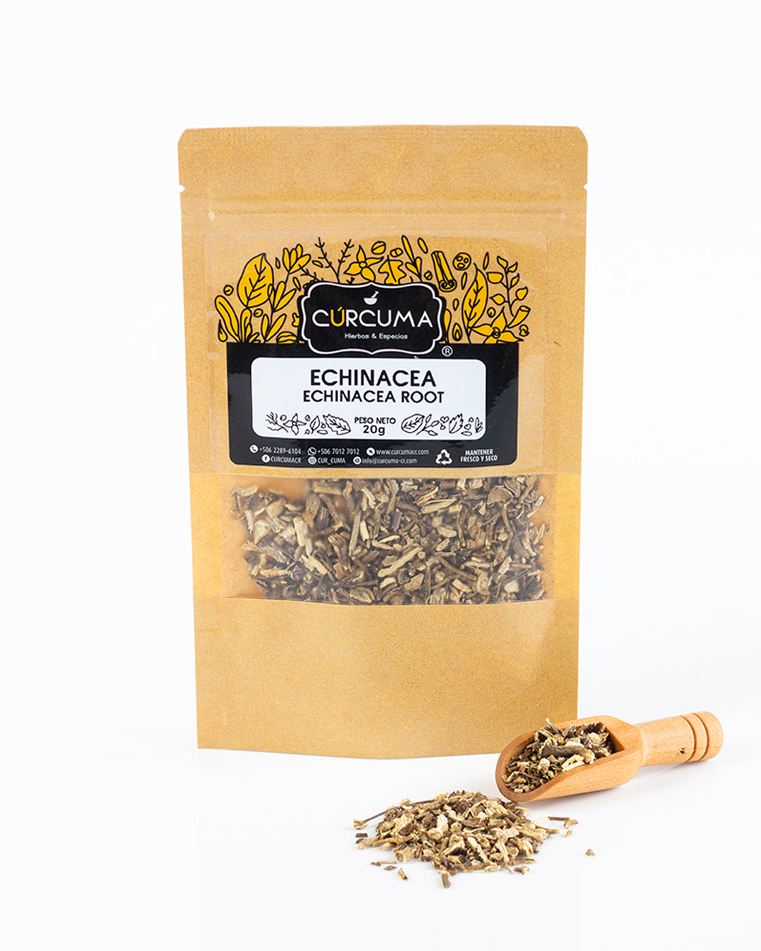 Echinacea - Echinacea Root