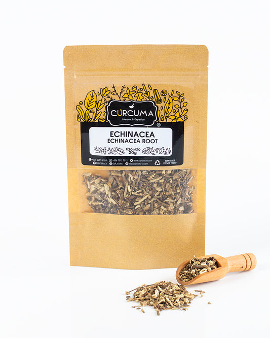 Echinacea - Echinacea Root