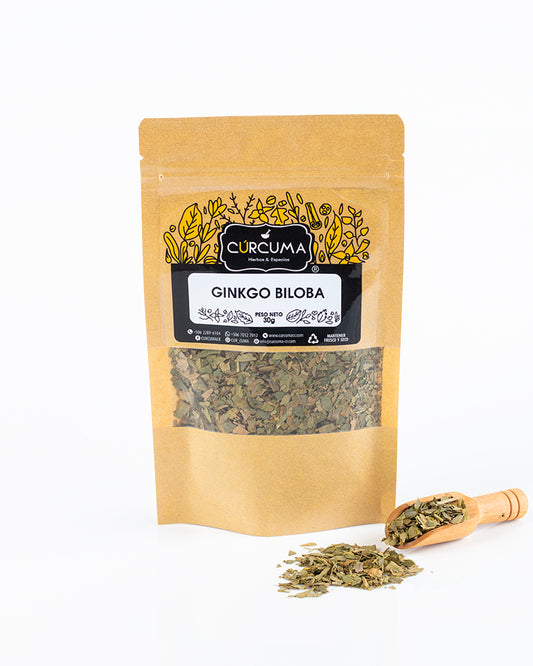 Ginkgo Biloba