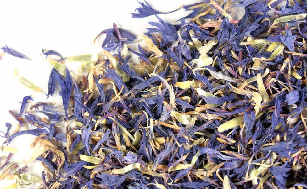 Pétalos de Aciano - Cornflower Petals