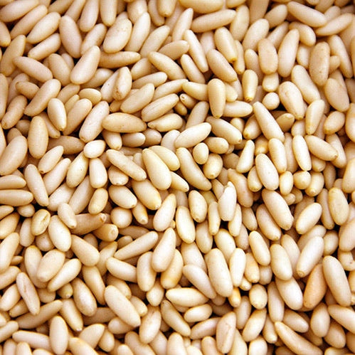 Piñon - Pine nut - Cúrcuma®