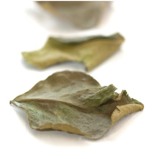 Lima Kaffir Leaves