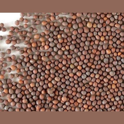 Mostaza - Mustard - Cúrcuma®