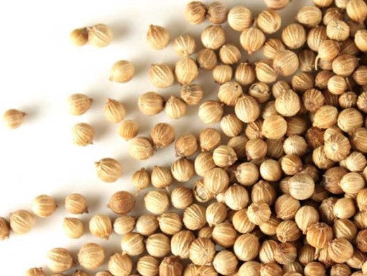 Culantro semilla - Coriander