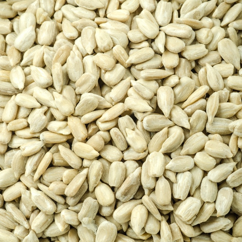Semilla Girasol - Sunflower Seed - Cúrcuma®