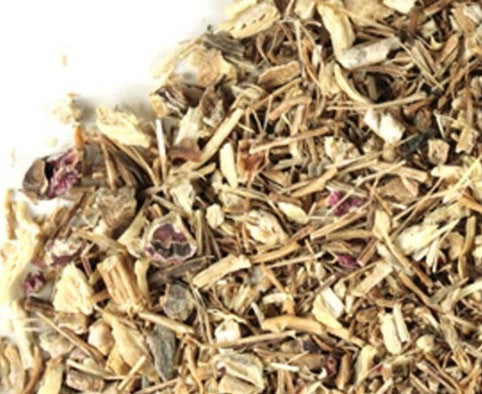 Echinacea - Echinacea Root